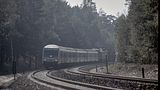 12.10.1996    RB 5509 Dresden - Grlitz    Dresdner Heide