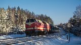 21.12.1996   RE 3484 Zittau - Dresden    Dresdner Heide