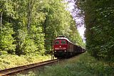 05.08.2003    Umleiter, Elbtalstrecke wegen Bauarbeiten gesperrt  Gterzug    bei Drrrhrsdorf