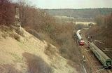 06.03.1994    N 6423 Riesa - Dresden und D 2732 Dresden - Rostock    am Oberauer Tunneldenkmal