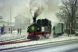 07.01.1995    110 Jahre Dllnitzbahn    Oschatz