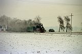 07.01.1995    110 Jahre Dllnitzbahn    bei Naundorf