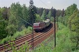 1992  im Tharandter Wald bei Klingenberg-Colmnitz